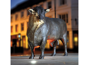 Bronze bull unveiled