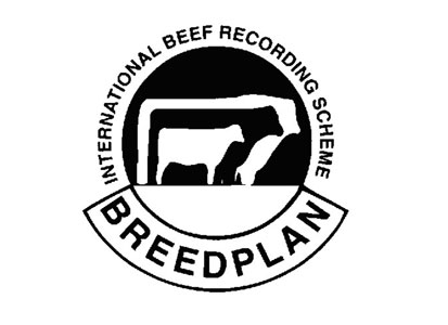 Adoption of ABRI Breedplan