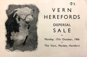 Vern herd dispersal